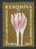 EROARE / ROMANIA 1959 PLANTE MEDICINALE CTO - BOLOVAN PESTE ,,O&#039;&#039; SI ,,M&#039;&#039;, Flora, Stampilat