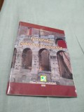 Cumpara ieftin GREUTATEA GANDULUI NEROSTIT-CONSTANTIN STANCU/ 2012 /AUTOGRAF AUTOR