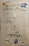 Certificat de gimnaziu Baia Mare gymnasiumi bizonyitvany in lb maghiara 1899