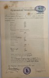 Certificat de gimnaziu Baia Mare gymnasiumi bizonyitvany in lb maghiara 1899