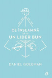 Ce &icirc;nseamnă să fii un lider bun - Paperback brosat - Daniel Goleman - Curtea Veche