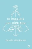 Carte Ce inseamna sa fii un lider bun Daniel Goleman Dezvoltare personala Inteligenta emotionala Leadership Brosata Curtea Veche