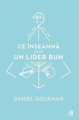 Ce inseamna sa fii un lider bun - Daniel Goleman