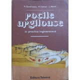 ROCILE ARGILOASE IN PRACTICA INGINEREASCA-FL. ZAMFIRESCU, R. COMSA, L. MATEI-341212