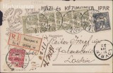 HST CP294 Carte poștală Budapesta Lovrin 1912