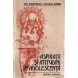 Aspiratii si atitudini in adolescenta