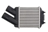 Radiator intercooler RENAULT MEGANE Sc&eacute;nic (JA0/1_) (1996 - 2001) THERMOTEC DAR001TT