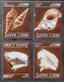 BC121, Sierra Leone 2020, serie scoici