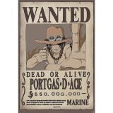 Poster One Piece - Wanted Ace (91.5x61)