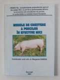 Margareta Oancea - Modele de crestere a porcilor in efective mici