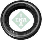 INA 413 0093 10 Simering, arbore cotit