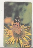 bnk cld Calendar de buzunar - 1988 - Tipografia Ploiesti - Fluture