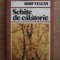 Iosif Vulcan - Schite de calatorie