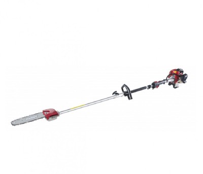Motofierastrau crengi pe benzina RD-GPS01, tija detasabila, 0.7 kW, 250 mm, extensie 1 m, Raider 075555 foto