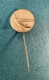 Insigna planorism Romania tip pin aeroclub Arad varianta