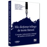 Mic dictionar trilingv de teorie literara: concepte, instrumente si strategii, Simona Antofi , Elena Costandache , Nicoleta Ifrim , Viorica Isaia , Is, Pro Universitaria