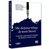 Mic dictionar trilingv de teorie literara: concepte, instrumente si strategii, Simona Antofi , Elena Costandache , Nicoleta Ifrim , Viorica Isaia , Is