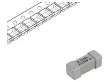 Siguranță &icirc;nt&acirc;rziere 6,3A 250V SMD ceramică, Littelfuse