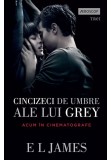 Cincizeci de umbre ale lui Grey - Fifty Shades Vol. 1, Trei