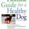 Holistic Guide for a Healthy Dog