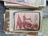 Crinul roșu vintage