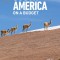 The Rough Guide to South America on a Budget