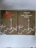 Banat - 2 volume Omagiu lui Iosif Constantin Dragan, Bucuresti 1977 si 1982