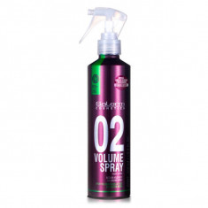 Volume Spray 02 lotiune spray anti-termica pentru coafat cu volum si neutralizare reflexe galbene Proline 250ml foto