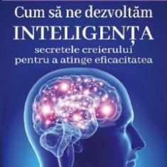 Cum sa ne dezvoltam inteligenta - Patrick M. Georges