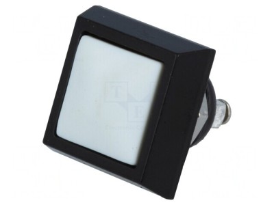 Comutator Anti-Vandalism 2 Pozitii SPST-NO 2A 36V IP65 foto