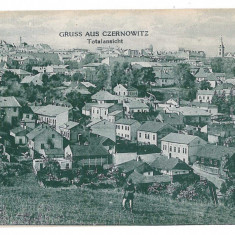 1391 - CERNAUTI, Bucovina, Panorama Synagogue - old postcard - unused