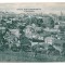 1391 - CERNAUTI, Bucovina, Panorama Synagogue - old postcard - unused