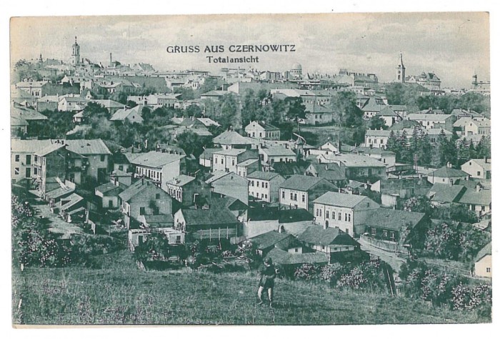 1391 - CERNAUTI, Bucovina, Panorama Synagogue - old postcard - unused