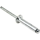 Pop Nit 4.8 X 10 Mm (100 Buc)