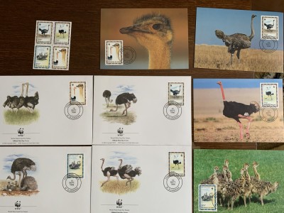 tschad - strut - serie 4 timbre MNH, 4 FDC, 4 maxime, fauna wwf foto