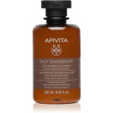 Apivita Holistic Hair Care White Willow &amp; Propolis sampon anti-matreata pentru par gras 250 ml