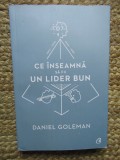 Ce inseamna sa fii un lider bun. De ce este importanta inteligenta emotionala &ndash; David Goleman