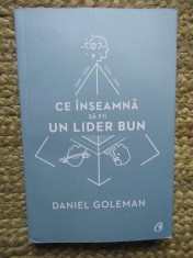 Ce inseamna sa fii un lider bun. De ce este importanta inteligenta emotionala &amp;ndash; David Goleman foto