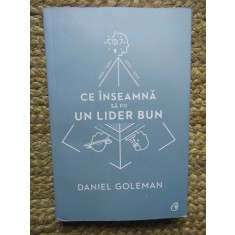 Ce inseamna sa fii un lider bun. De ce este importanta inteligenta emotionala &ndash; David Goleman