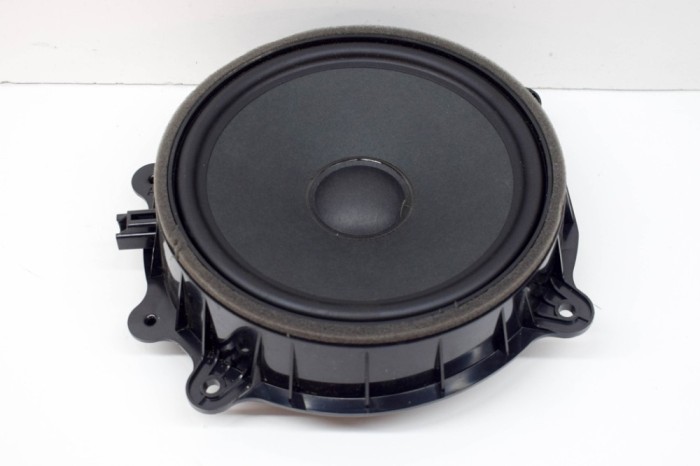 Difuzor ușă dreapta față TESLA MODEL 3 2021 OEM: 1079744-00-E 14976537