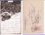 Salutari din Sinaia - Litografie 1900 -edit. Bucuresti