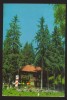 CPIB 22275 - CARTE POSTALA - CABANA HOMOROD, Circulata, Fotografie