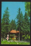 CPIB 22275 - CARTE POSTALA - CABANA HOMOROD