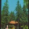 CPIB 22275 - CARTE POSTALA - CABANA HOMOROD