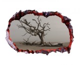 Cumpara ieftin Autocolant decorativ, Gaura in perete, Multicolor, 85 cm, 627STC-1, animale si pasari, Oem