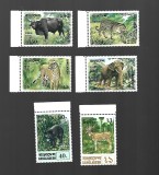 bangladesh mnh