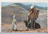 Bnk cp Algeria - Beduini in desert - necirculata, Printata