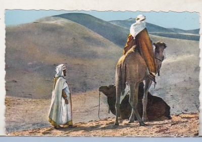 bnk cp Algeria - Beduini in desert - necirculata foto