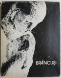 Constantin Brancusi. Viata si opera &ndash; Ionel Jianu (Carte Beletristica, Stare Buna/Acceptabila, Anticariat)