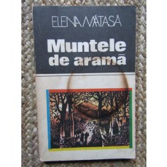 MUNTELE DE ARAMA-ELENA MATASA